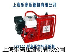 lyx100潜水呼吸空气压缩机_供应产品_上海乐高压缩机有限公司